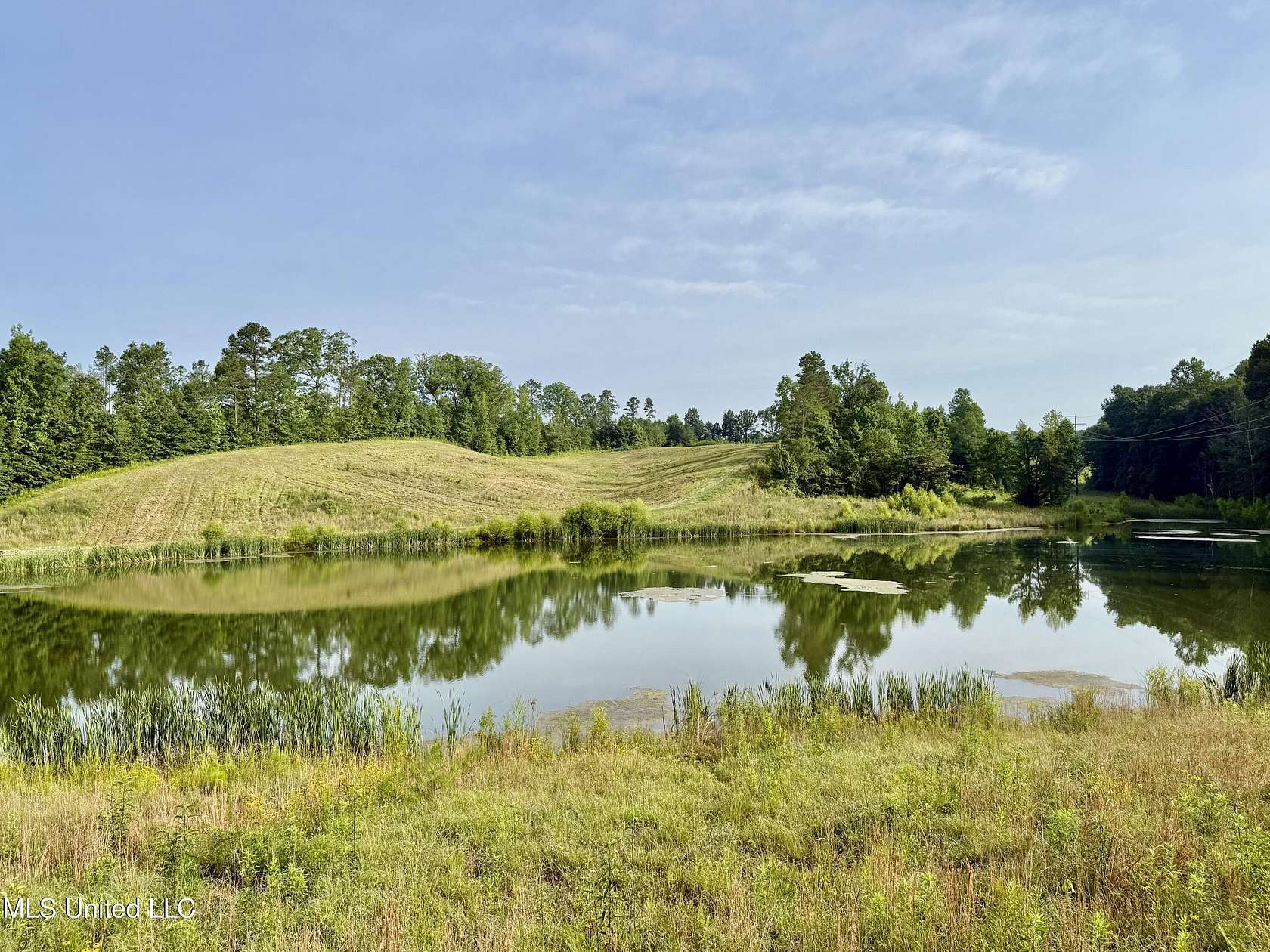 122 Acres of Land for Sale in Louisville, Mississippi