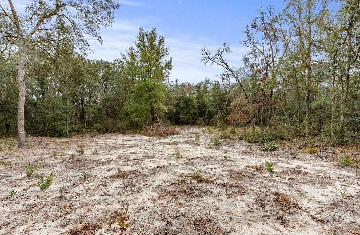 2.5 Acres of Residential Land for Sale in Bronson, Florida