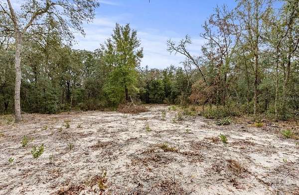 2.5 Acres of Residential Land for Sale in Bronson, Florida