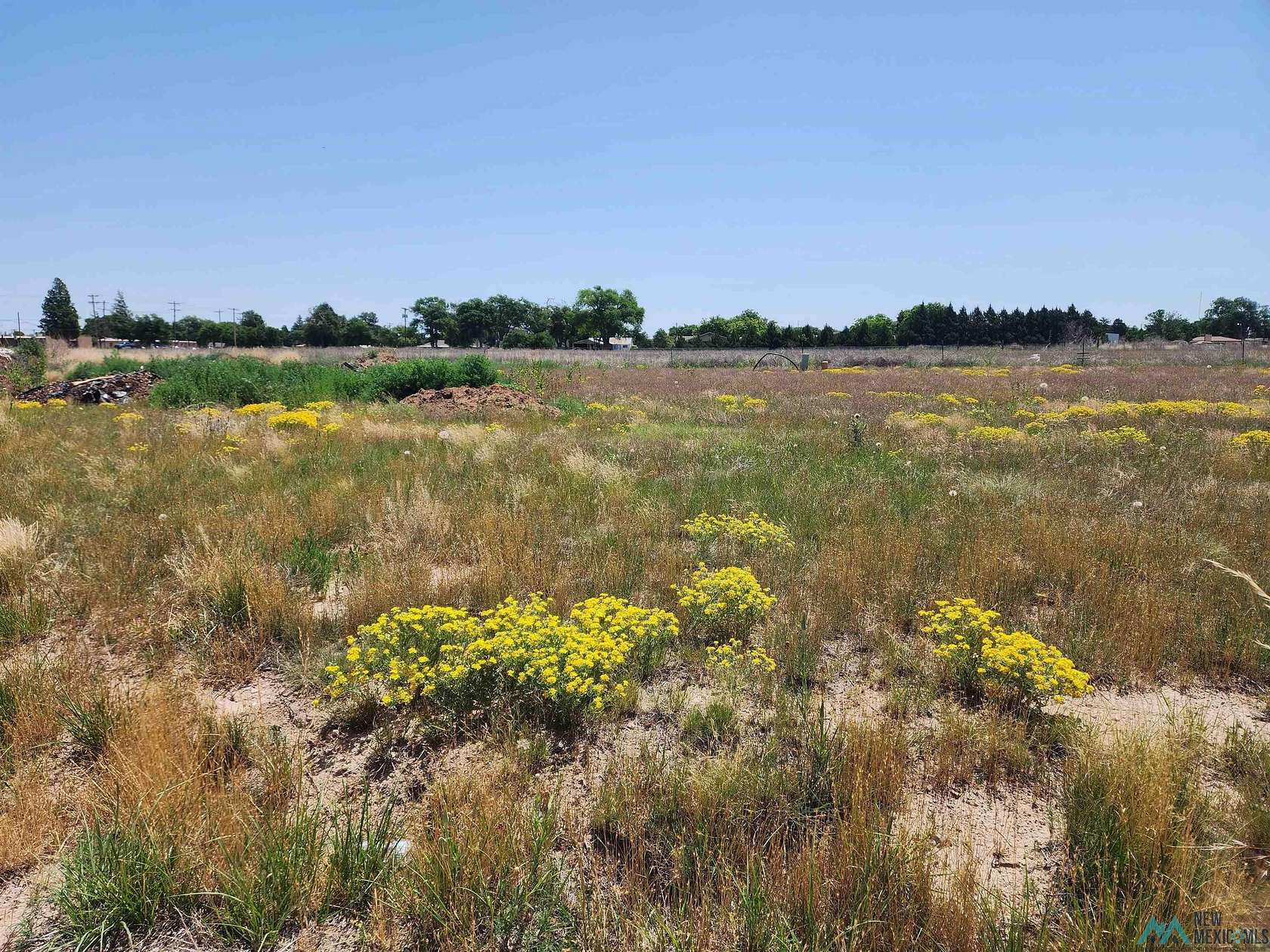 0.13 Acres of Residential Land for Sale in Portales, New Mexico