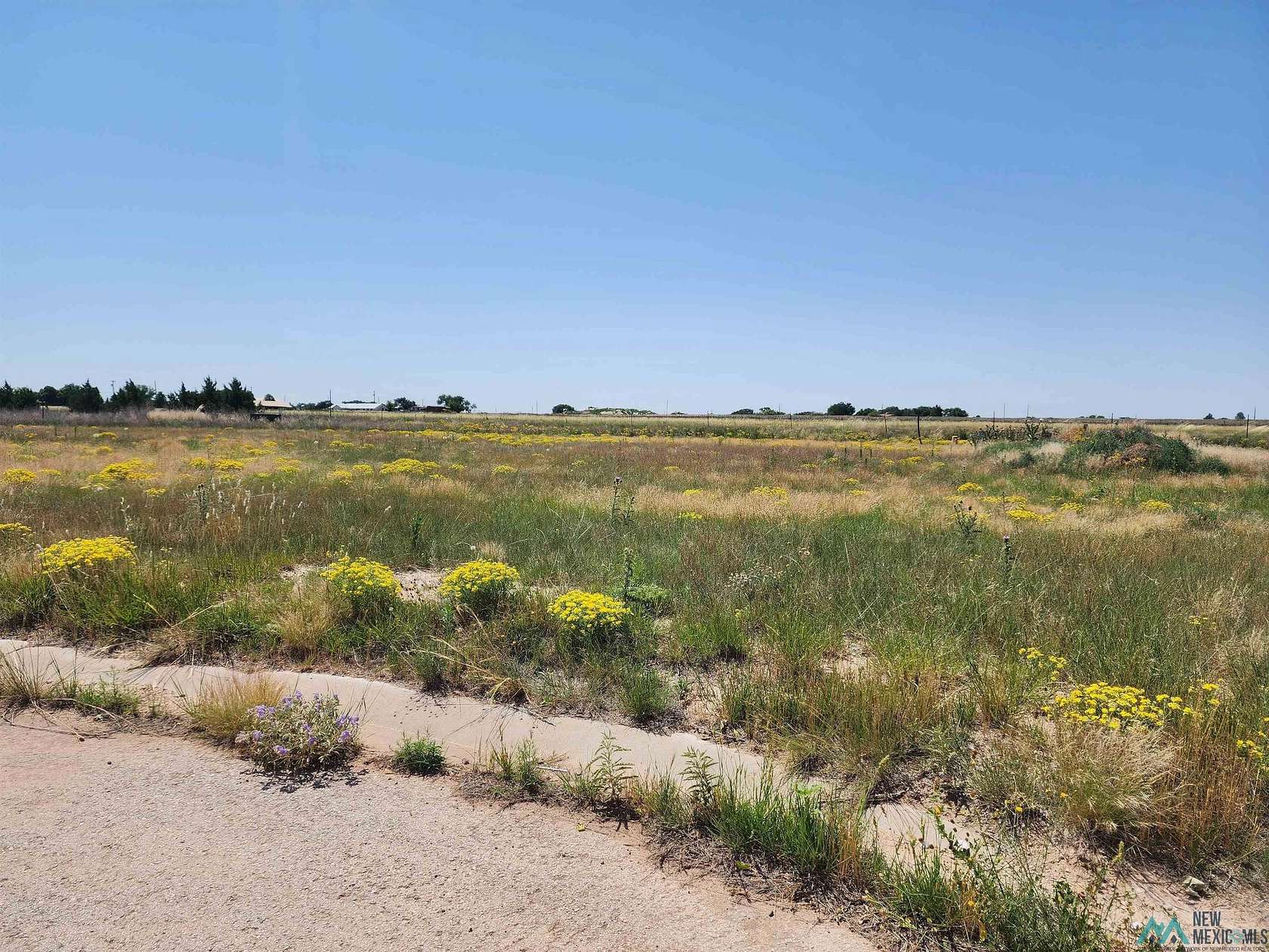0.23 Acres of Residential Land for Sale in Portales, New Mexico