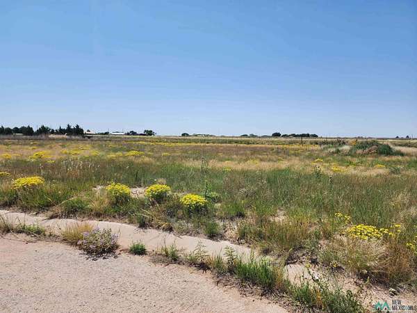 0.23 Acres of Residential Land for Sale in Portales, New Mexico