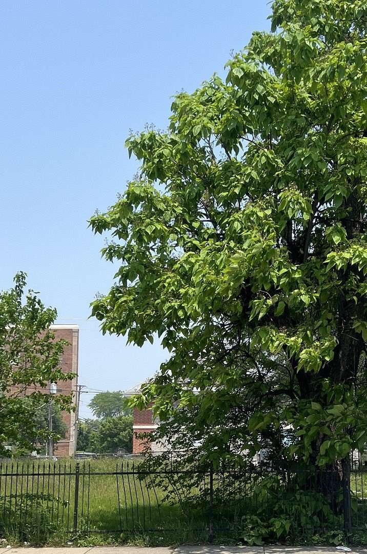 0.12 Acres of Land for Sale in Chicago, Illinois