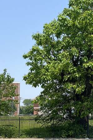 0.12 Acres of Land for Sale in Chicago, Illinois