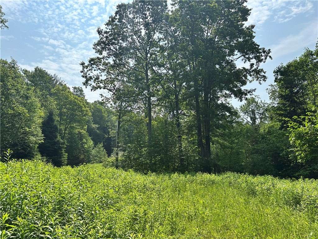 6.17 Acres of Improved Residential Land for Sale in Deposit, New York