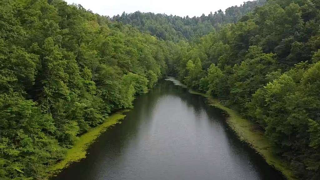 241 Acres of Land for Sale in Salyersville, Kentucky