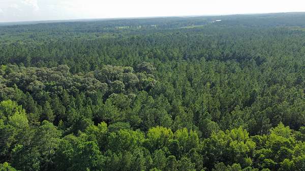20 Acres of Recreational Land for Sale in Lanett, Alabama