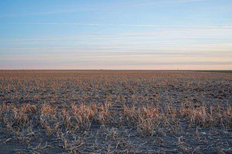 320 Acres of Agricultural Land for Sale in Horace, Kansas