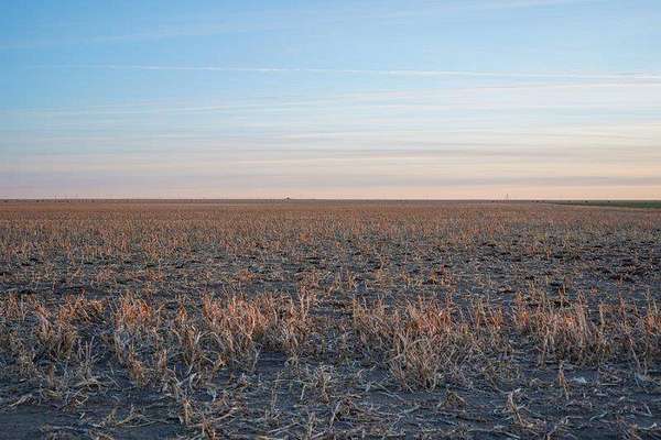320 Acres of Agricultural Land for Sale in Horace, Kansas