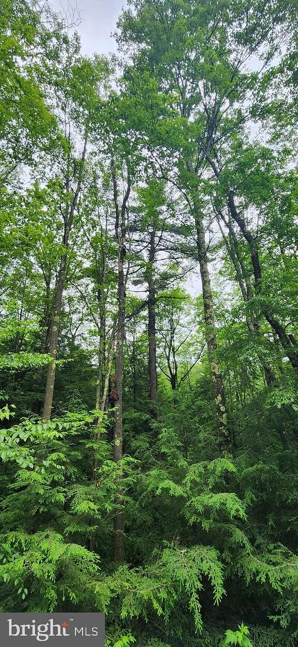 3 Acres of Residential Land for Sale in Oakland, Maryland