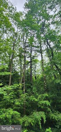 3 Acres of Residential Land for Sale in Oakland, Maryland