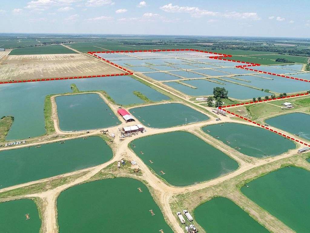 376 Acres of Land for Sale in Isola, Mississippi