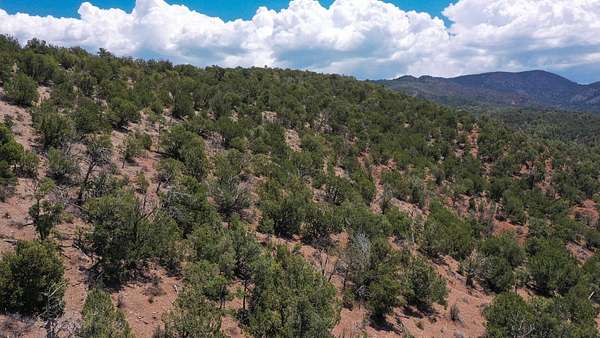 20 Acres of Recreational Land for Sale in High Rolls, New Mexico