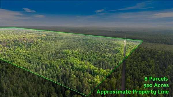 320 Acres of Recreational Land for Sale in Stony River Township, Minnesota