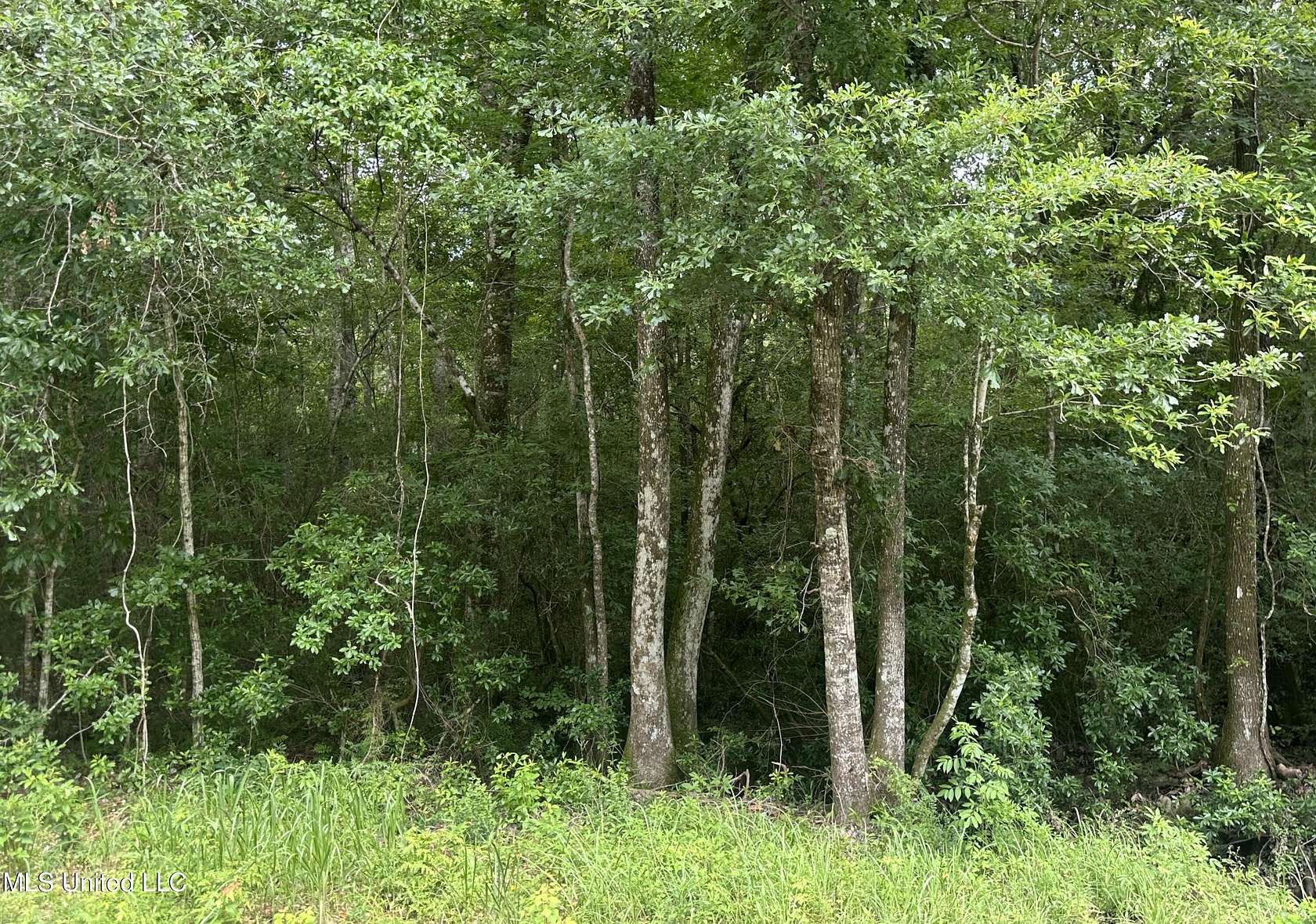 9.36 Acres of Mixed-Use Land for Sale in Saucier, Mississippi