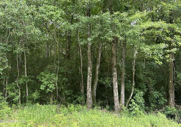 9.36 Acres of Mixed-Use Land for Sale in Saucier, Mississippi