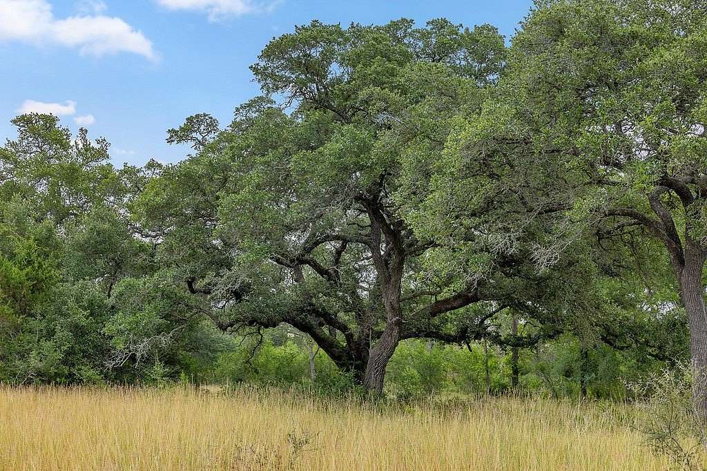 16.6 Acres of Agricultural Land for Sale in Fayetteville, Texas