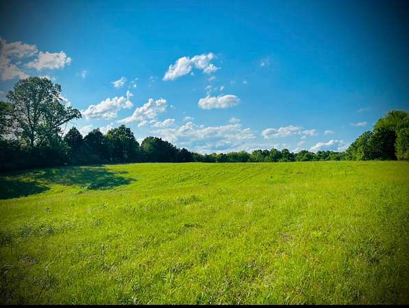26 Acres of Land with Home for Auction in Russell Springs, Kentucky