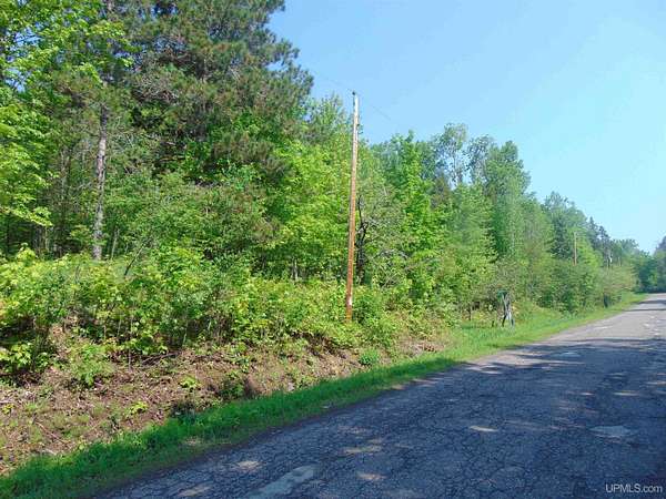 13.8 Acres of Land for Sale in Pelkie, Michigan