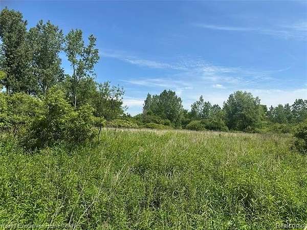 20 Acres of Recreational & Residential Land for Sale in Grant Township, Michigan