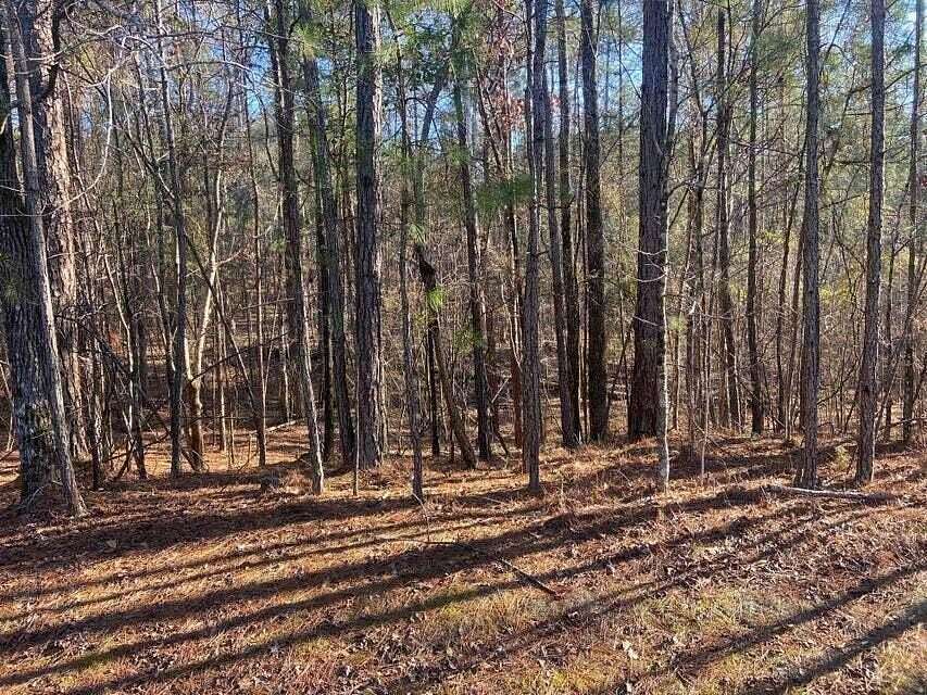 0.46 Acres of Residential Land for Sale in McCormick, South Carolina