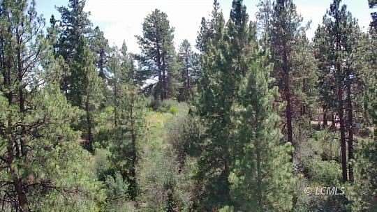 0.29 Acres of Residential Land for Sale in Chemult, Oregon