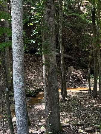 2.57 Acres of Residential Land for Sale in Iva, South Carolina