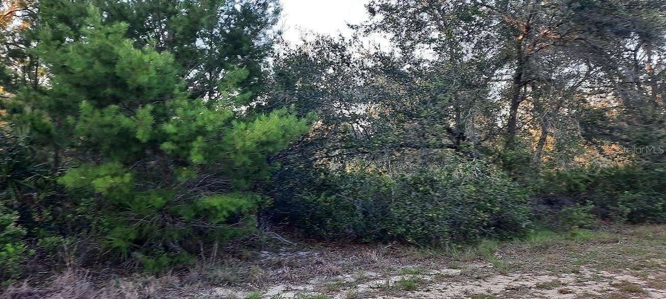 0.5 Acres of Residential Land for Sale in Indian Lake Estates, Florida