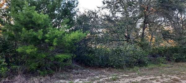 0.5 Acres of Residential Land for Sale in Indian Lake Estates, Florida