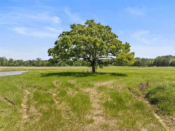 10 Acres of Recreational Land for Sale in Pittsburg, Texas