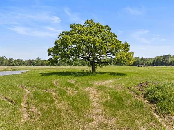 10 Acres of Recreational & Residential Land for Sale in Pittsburg, Texas