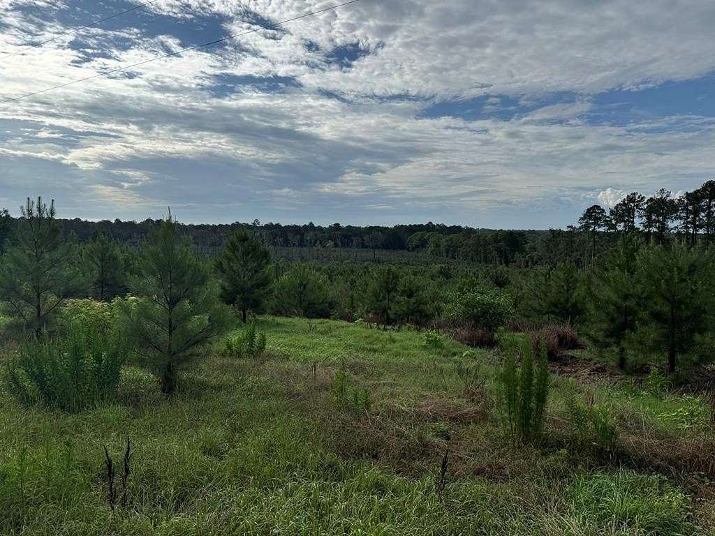 54.5 Acres of Land with Home for Sale in Cairo, Georgia
