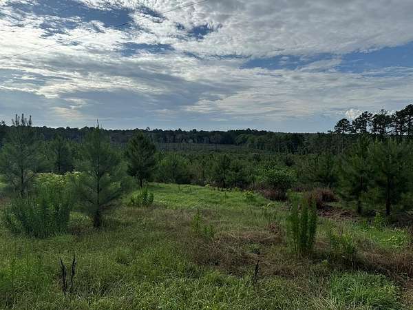 54.5 Acres of Land with Home for Sale in Cairo, Georgia
