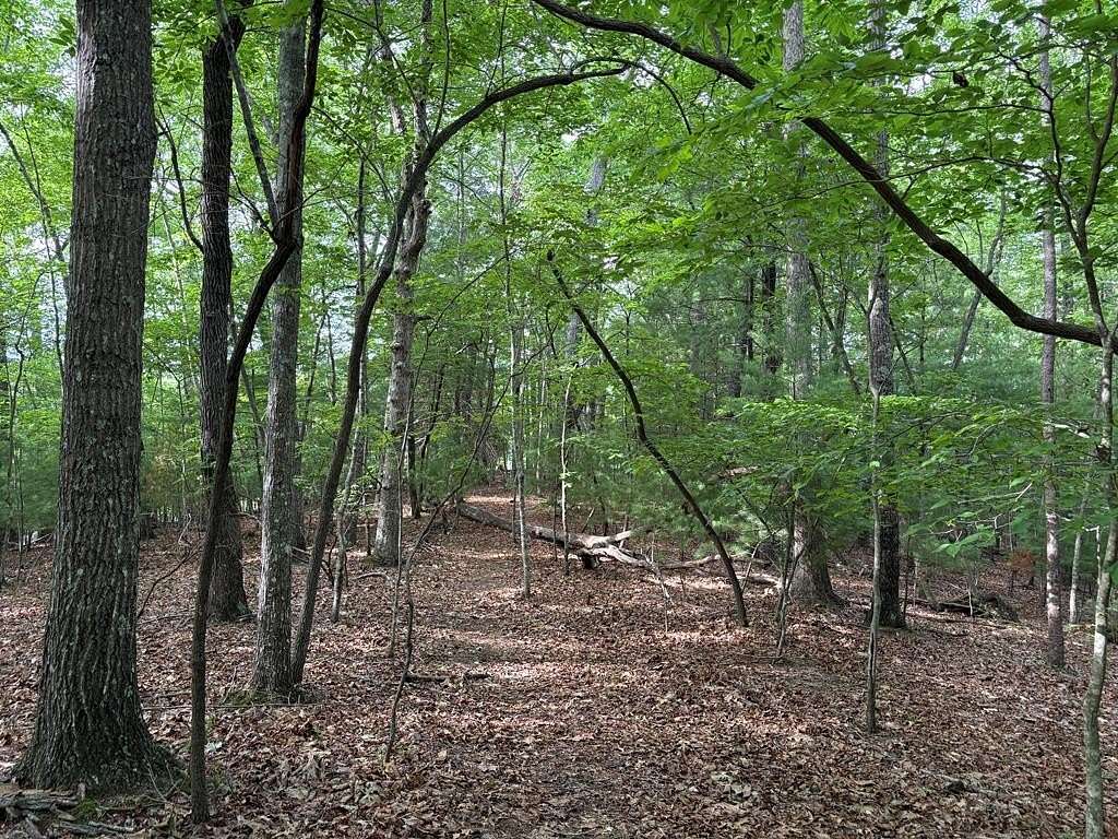 11.7 Acres of Land for Sale in Morganton, Georgia