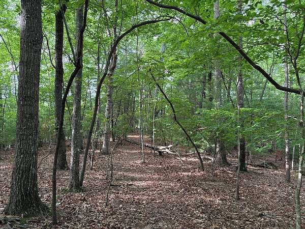 11.7 Acres of Land for Sale in Morganton, Georgia