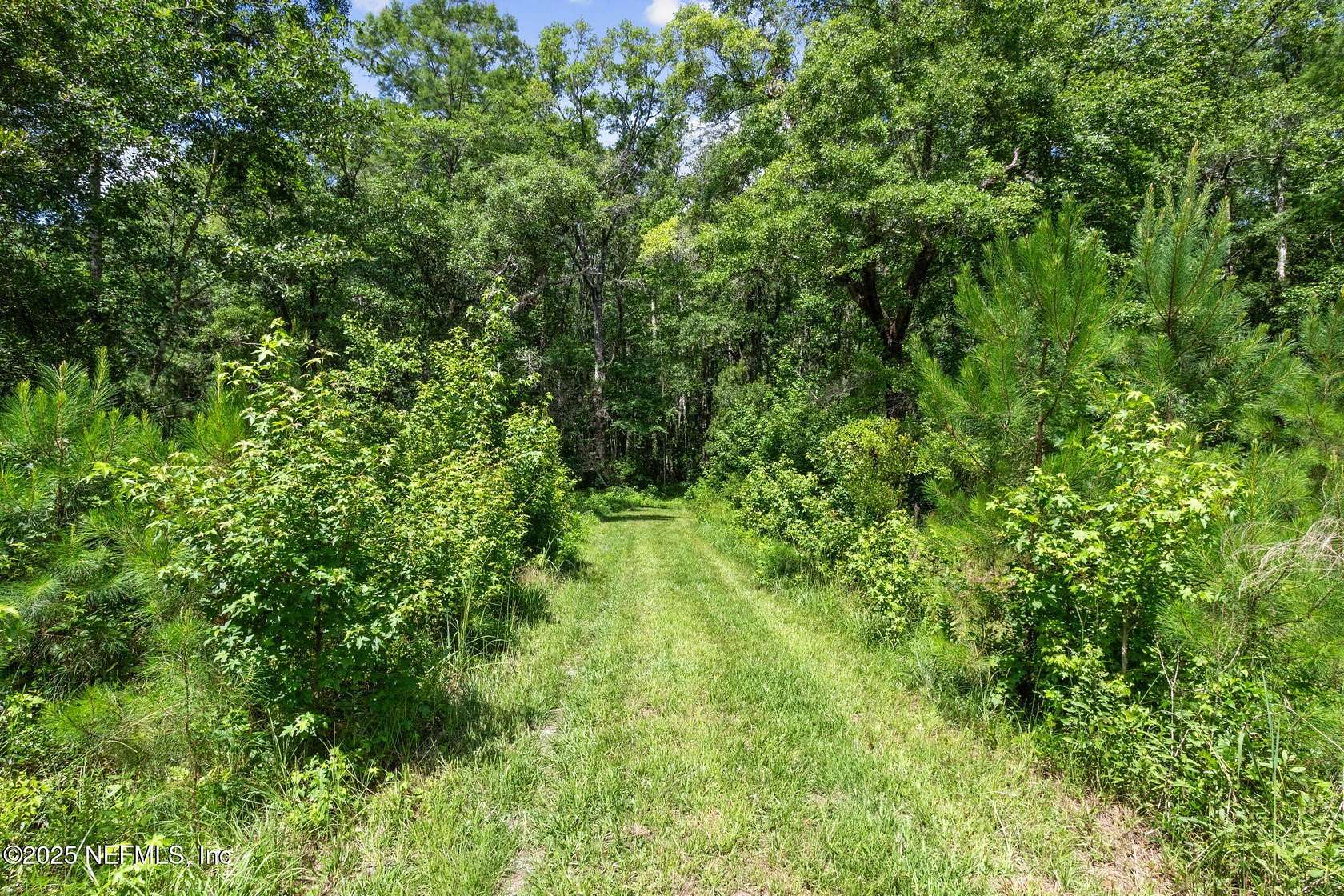 7.12 Acres of Residential Land with Home for Sale in Hilliard, Florida