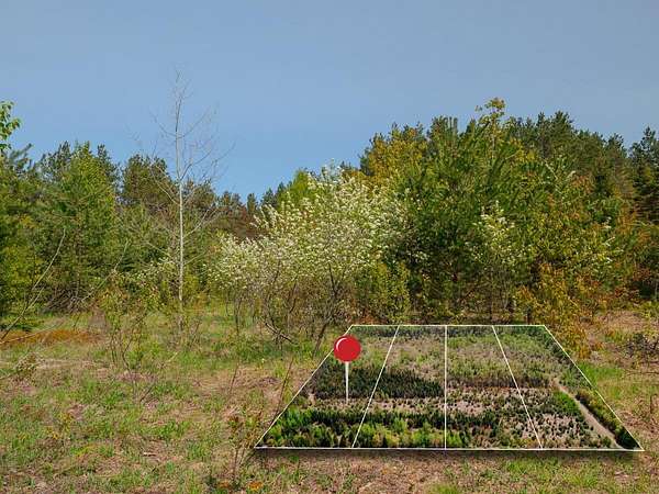 10 Acres of Recreational Land for Sale in Brimley, Michigan