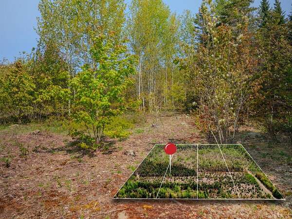 10 Acres of Recreational Land for Sale in Brimley, Michigan