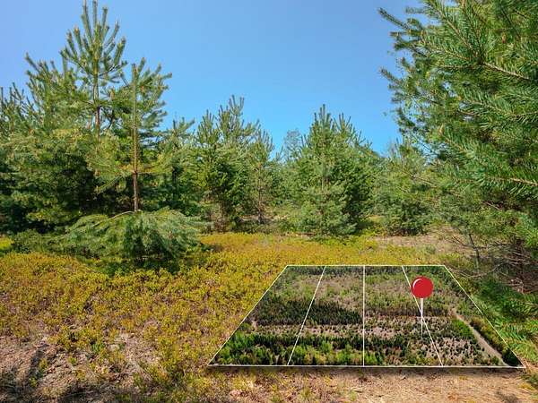 10 Acres of Recreational Land for Sale in Brimley, Michigan