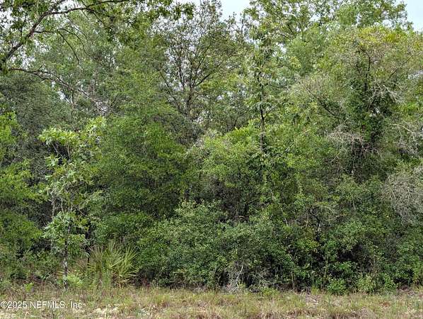 1.25 Acres of Residential Land for Sale in Keystone Heights, Florida