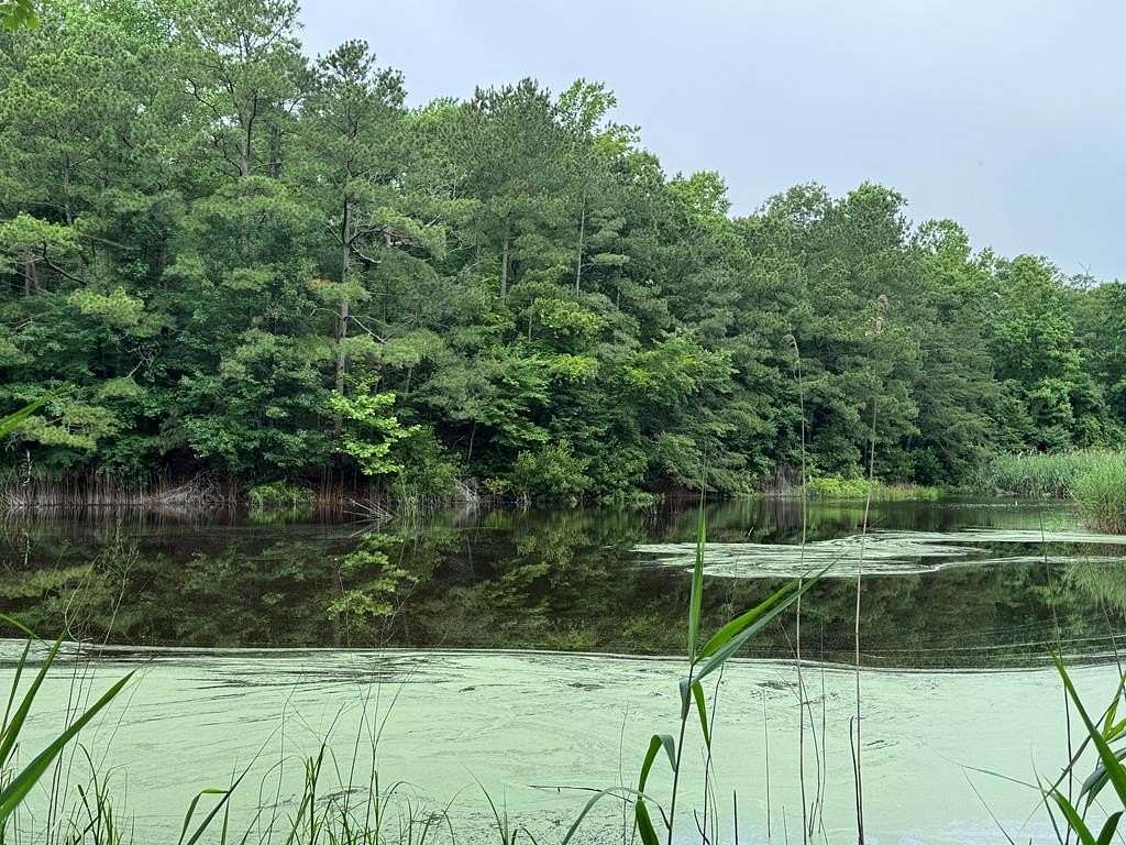 0.54 Acres of Land for Sale in Greenbackville, Virginia