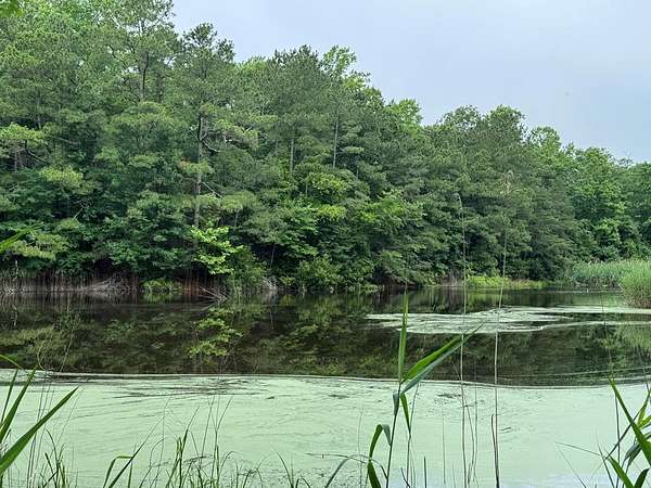 0.54 Acres of Land for Sale in Greenbackville, Virginia