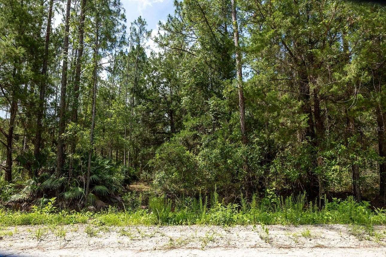 1.14 Acres of Land for Sale in Bunnell, Florida