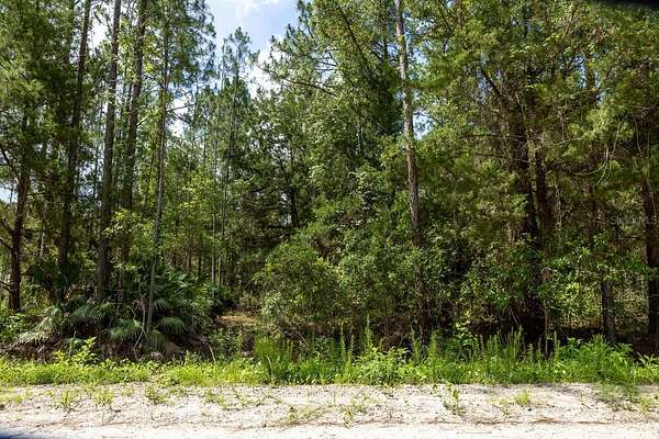 1.14 Acres of Land for Sale in Bunnell, Florida