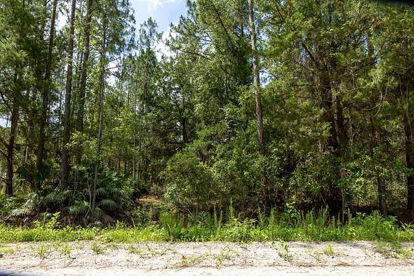 1.14 Acres of Land for Sale in Bunnell, Florida