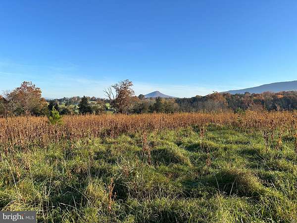 70.5 Acres of Land for Sale in New Market, Virginia
