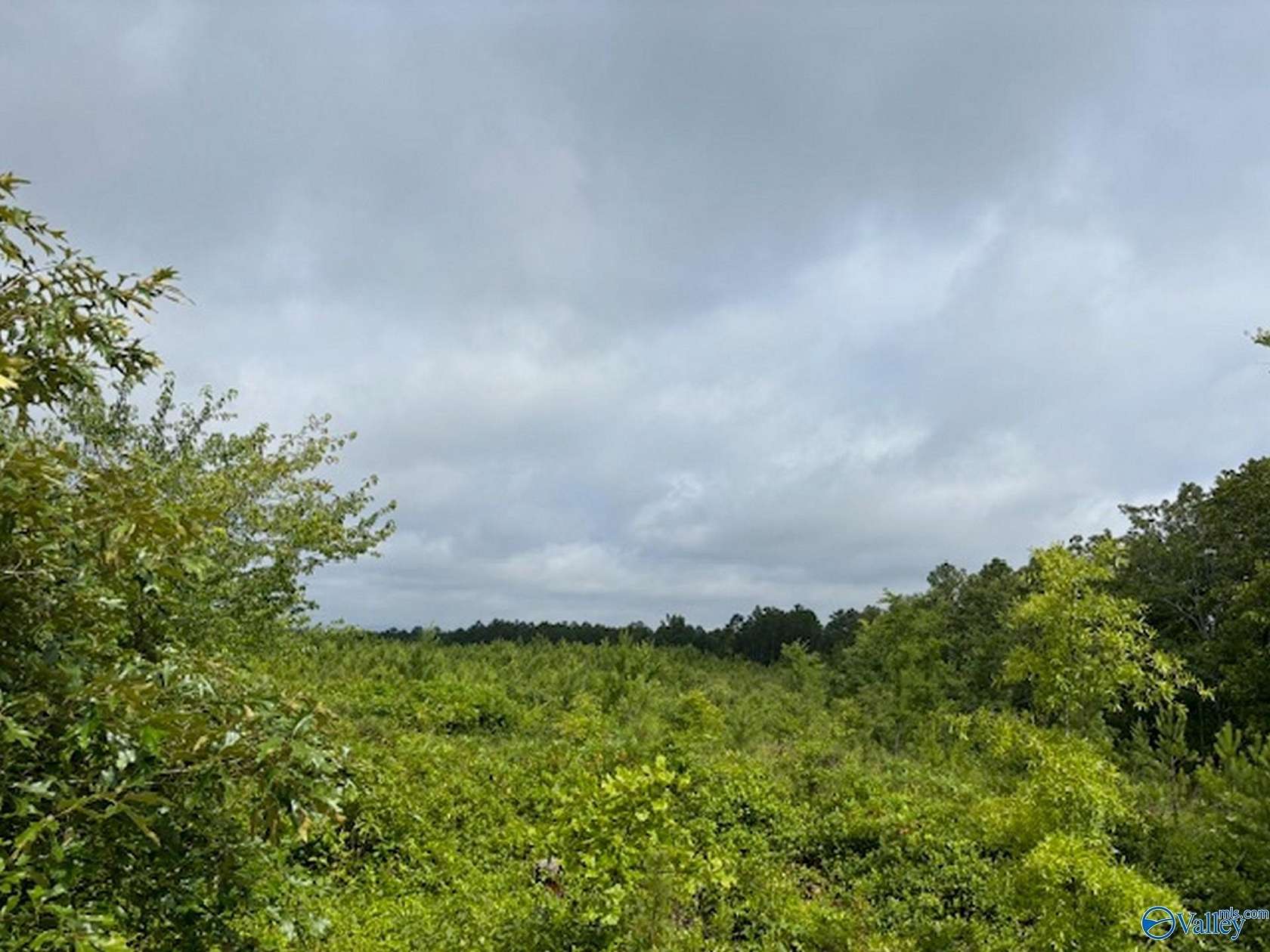 36 Acres of Land for Sale in Gadsden, Alabama