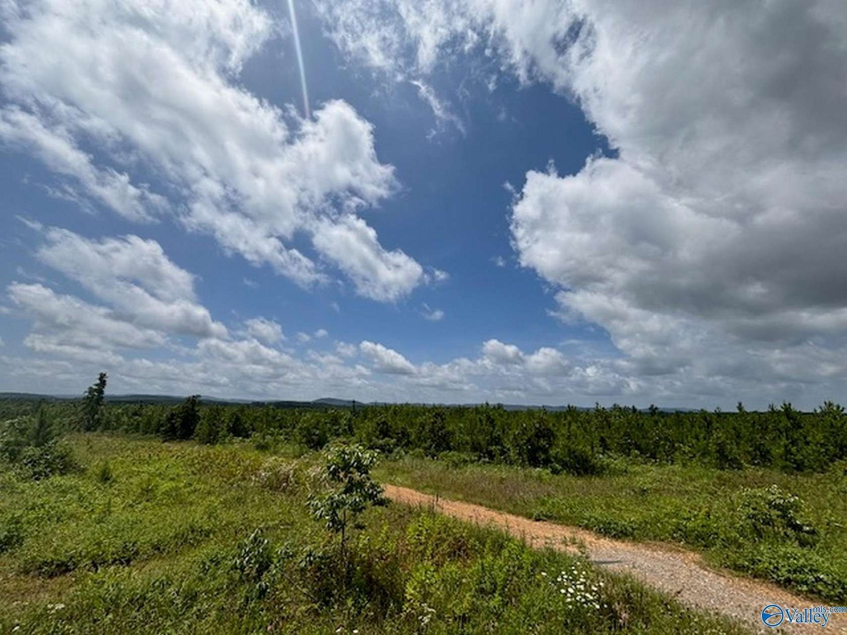 38 Acres of Land for Sale in Gadsden, Alabama