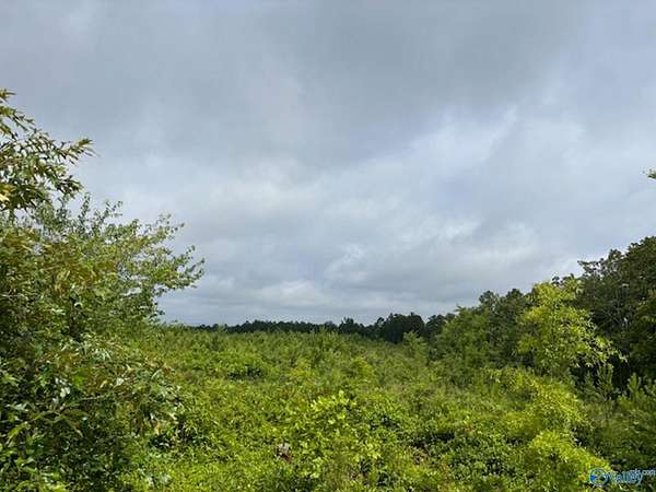 30 Acres of Land for Sale in Gadsden, Alabama