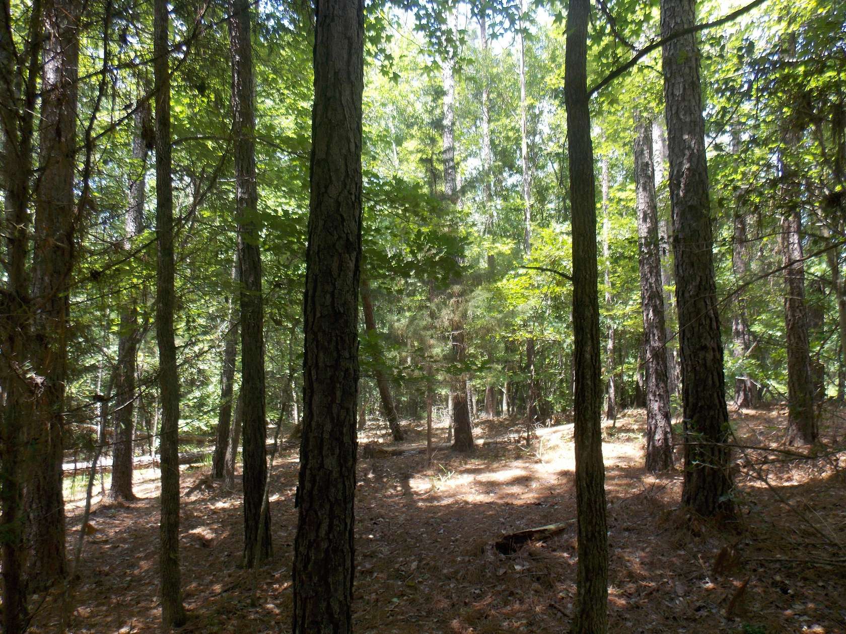 2.16 Acres of Land for Sale in Tignall, Georgia